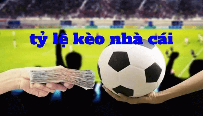 Cách đọc tỷ lệ cá cược bóng đá tại Kubet