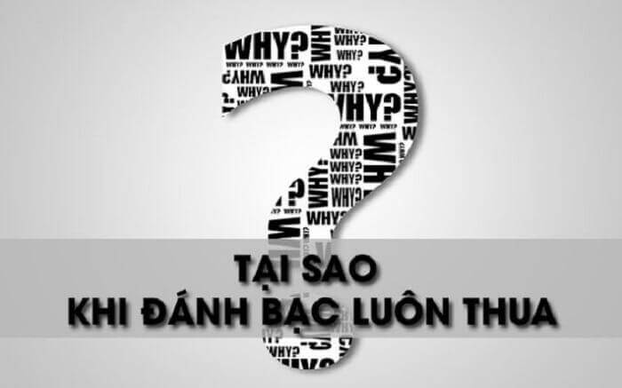 Tại sao chơi casino luôn thua tại Kubet