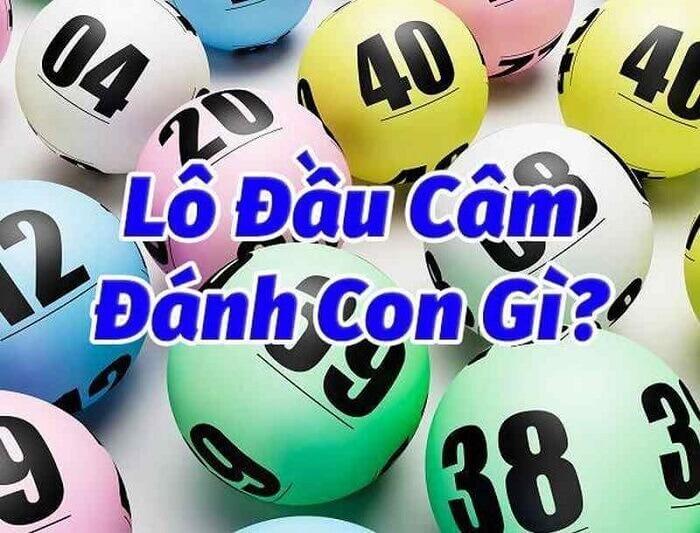 Đầu lô câm nên đánh số gì? 