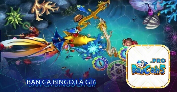 Thiên đường bắn cá Bingo là gì? 